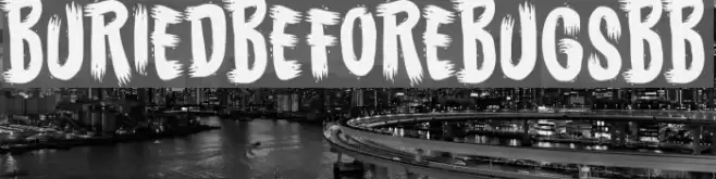 BuriedBeforeBugsBB Font examples