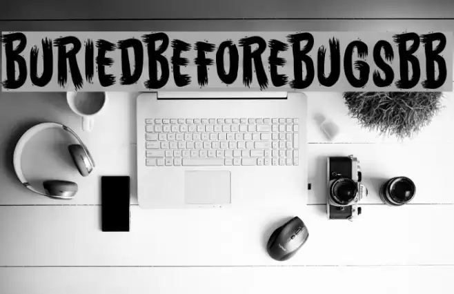 BuriedBeforeBugsBB Font examples