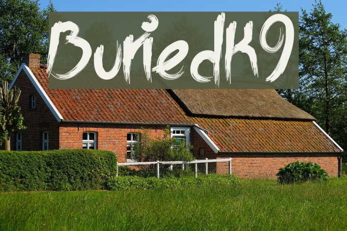 BuriedK9 Font examples