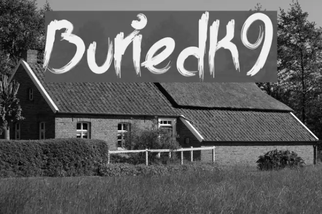 BuriedK9 Example 1