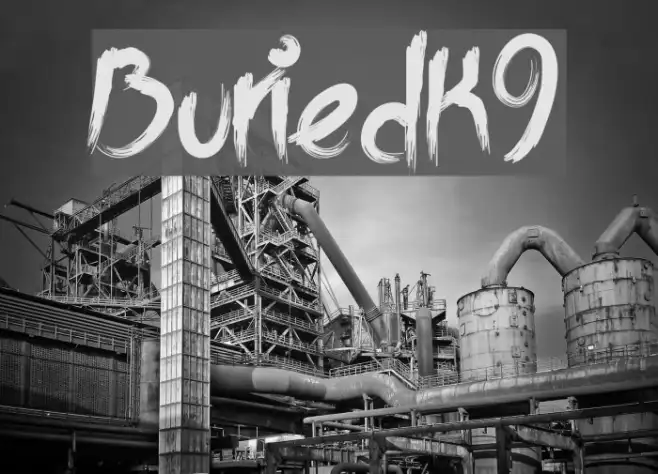 BuriedK9 Example 2