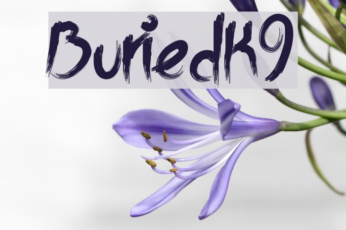 BuriedK9 Font examples
