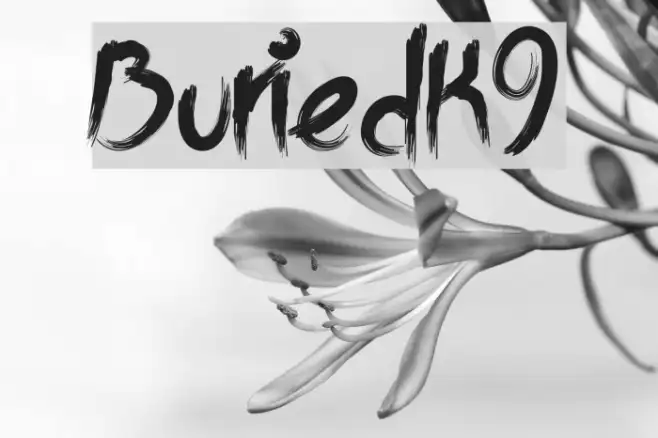 BuriedK9 Example 3
