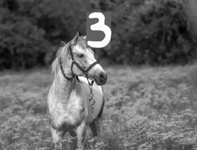 Buried フォント examples