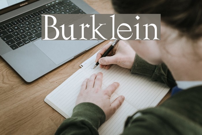 Burklein Font examples