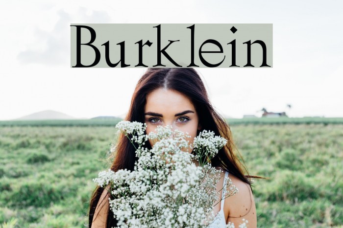 Burklein Font examples