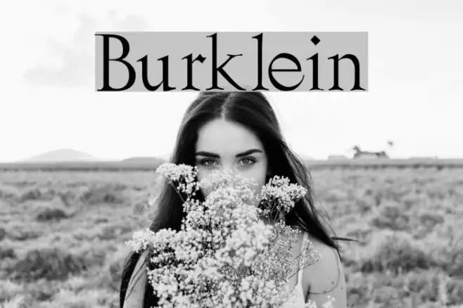 Burklein Example 2