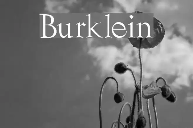 Burklein Example 3
