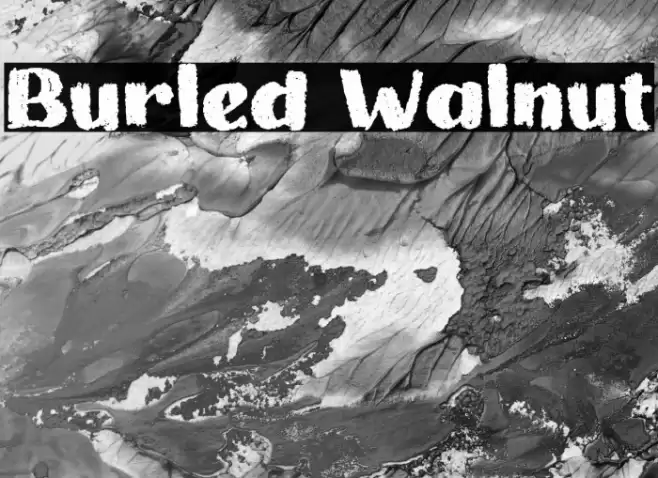 Burled Walnut Font examples