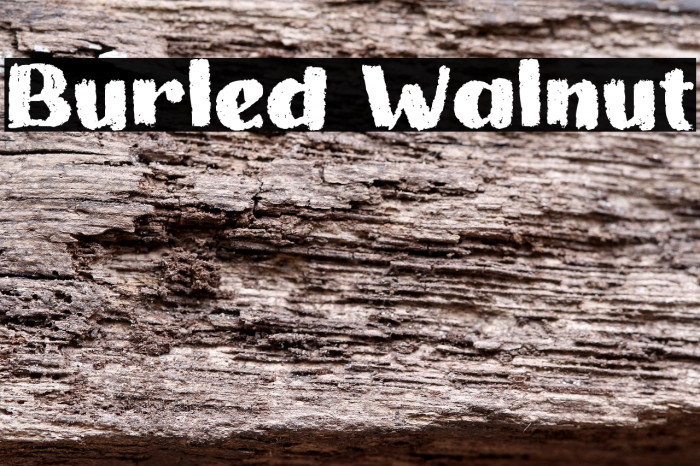 Burled Walnut Example 2