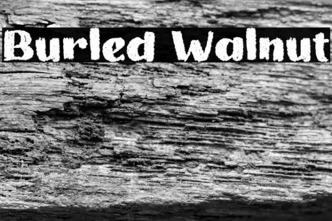 Burled Walnut Font examples