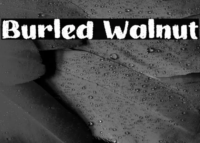 Burled Walnut Font examples