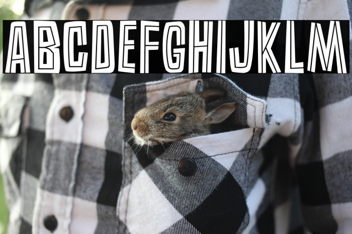 Burlesk Inline Example 1