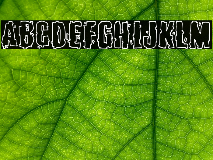 Burlesque Font examples