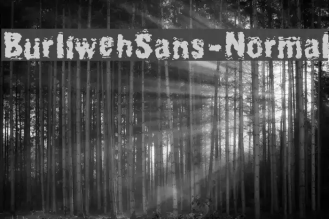 BurliwehSans-Normal Example 2