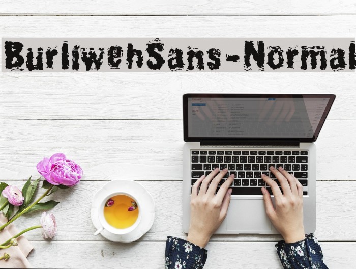 BurliwehSans-Normal Font examples