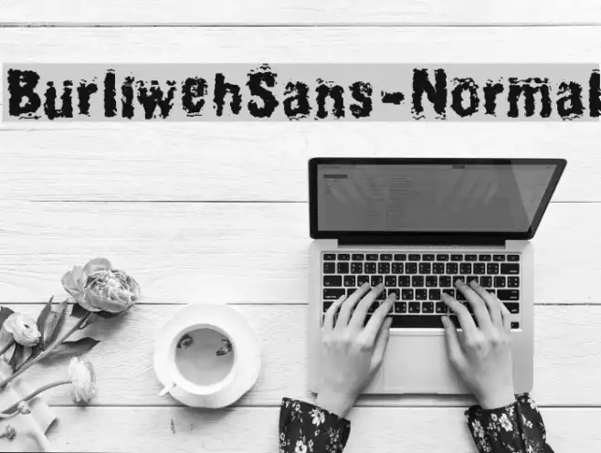 BurliwehSans-Normal Example 3