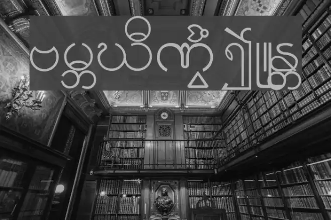 Burmese1-1 Example 2