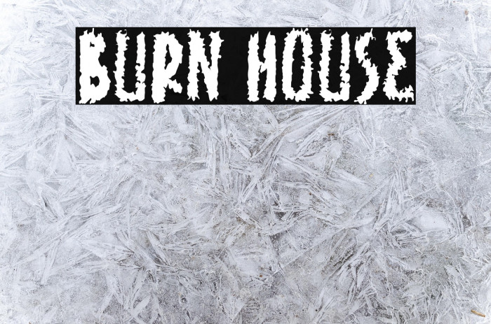 Burn House Example 2