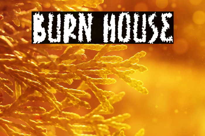 Burn House Example 3