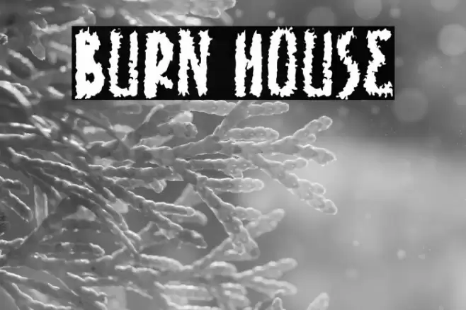 Burn House Font examples