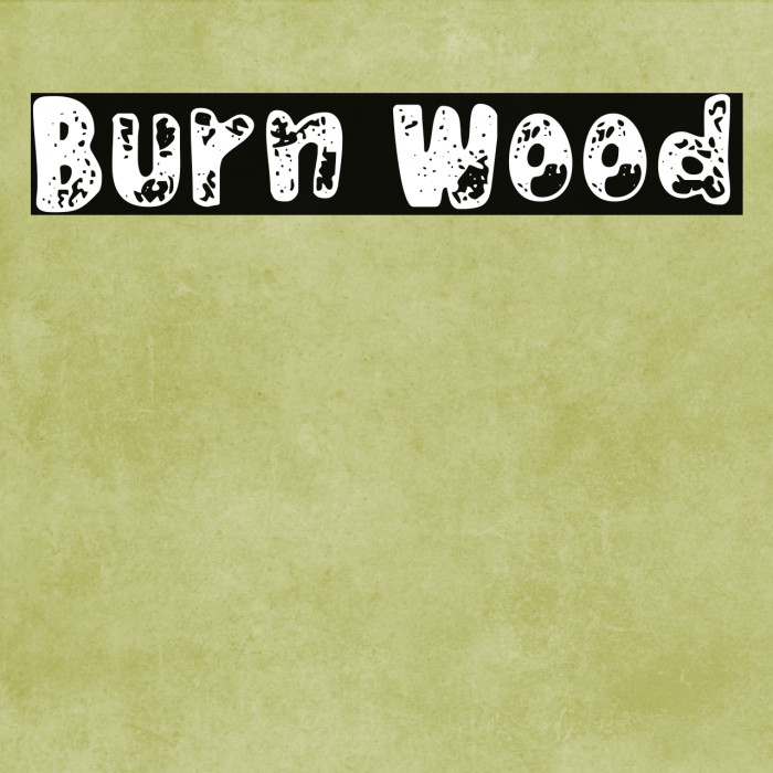 Burn Wood Font examples