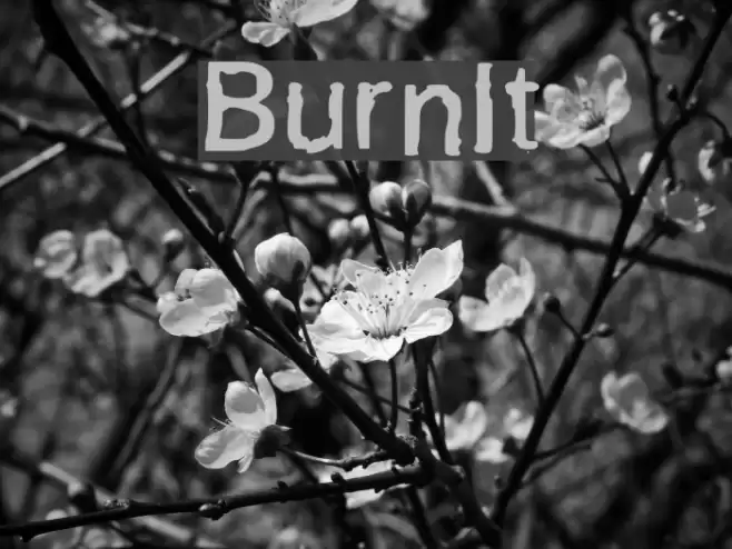 BurnIt Font examples