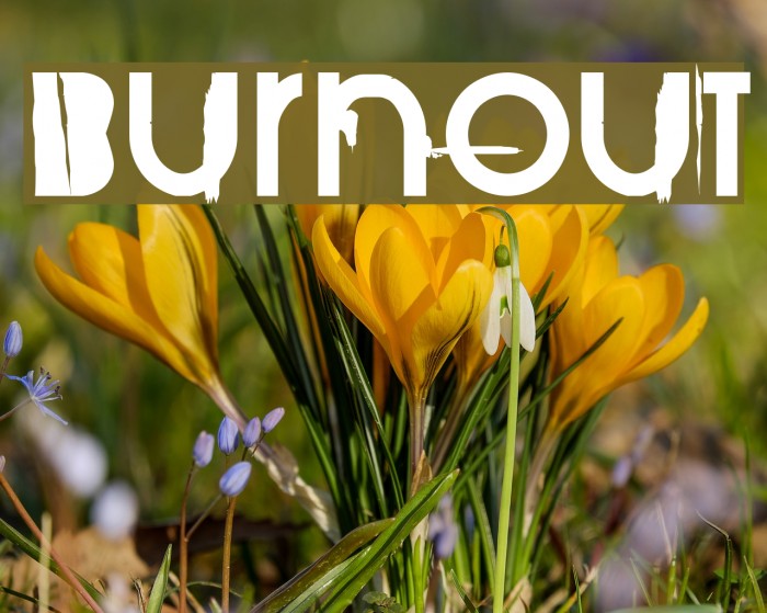 BurnOut Font examples