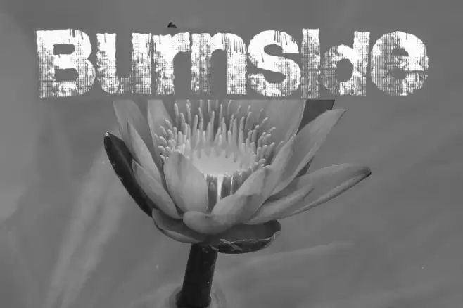 BurnSide Font examples