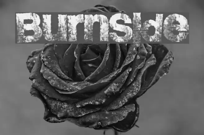 BurnSide Font examples