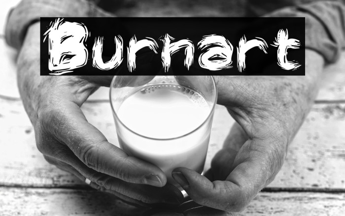 Burnart Example 1