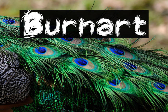Burnart Example 2