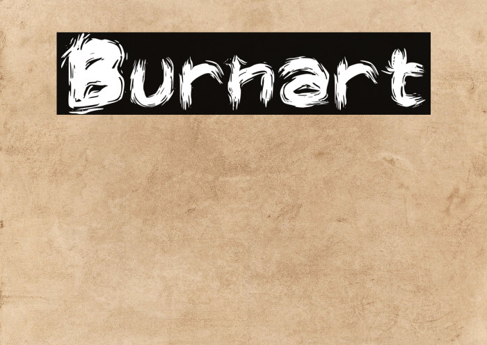 Burnart Example 3