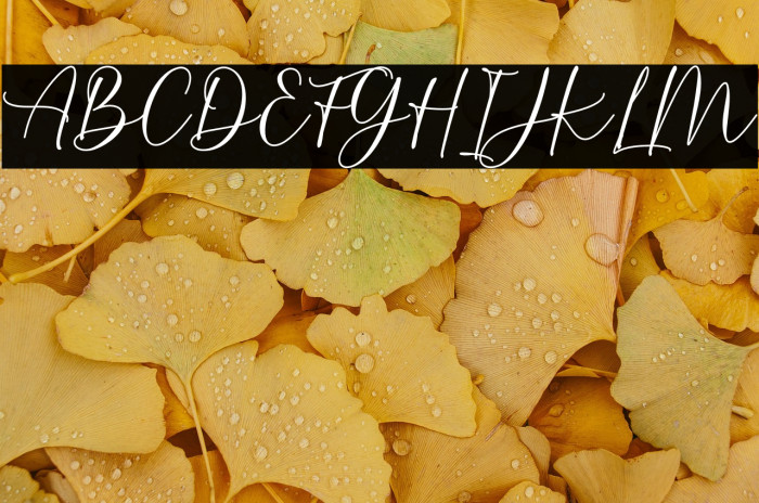 Burnette Demo Example 2