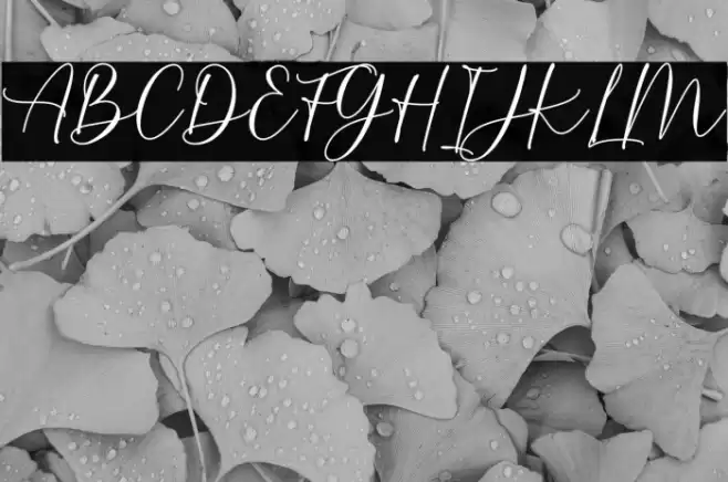 Burnette Demo फ़ॉन्ट examples