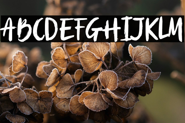 Burnfolk Demo Version Example 3