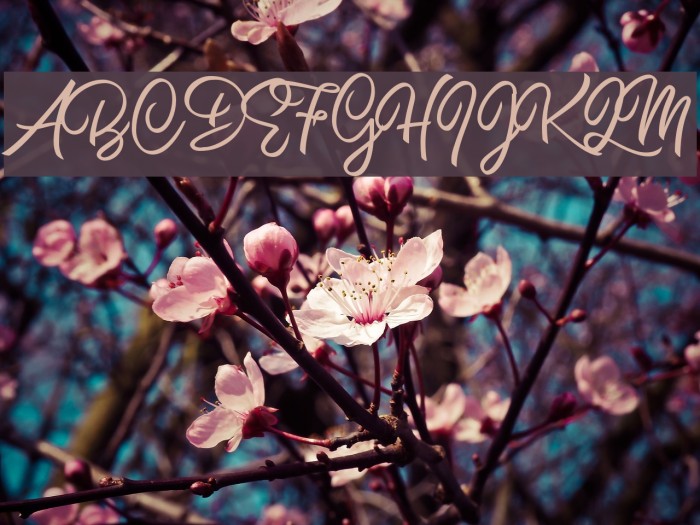 Burning Heart Personal Use Font examples