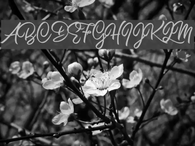 Burning Heart Personal Use Шрифта examples