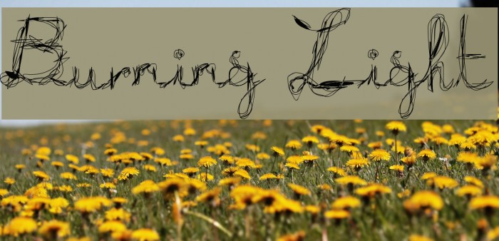 Burning Light Font examples