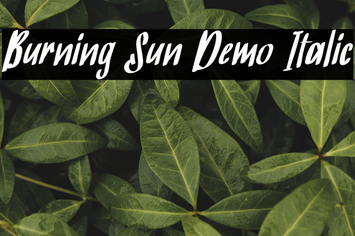 Burning Sun Demo Italic Example 1