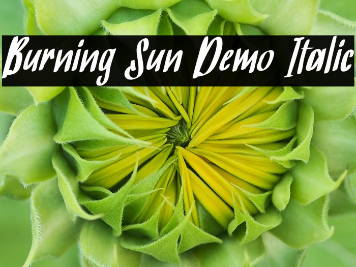 Burning Sun Demo Italic Example 3