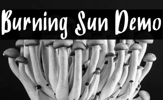 Burning Sun Demo Font examples