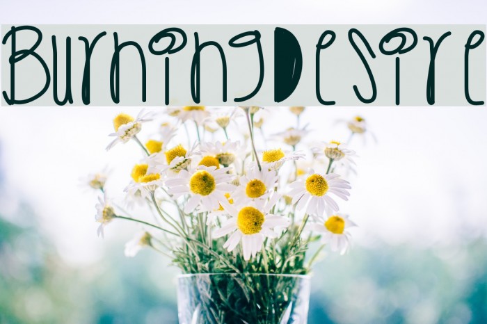 BurningDesire Font examples