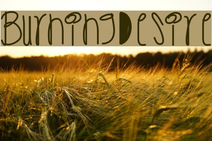 BurningDesire Font examples