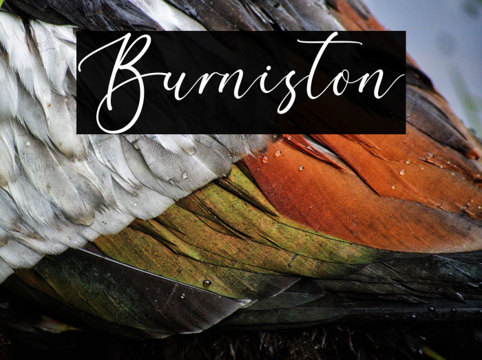Burniston Example 2