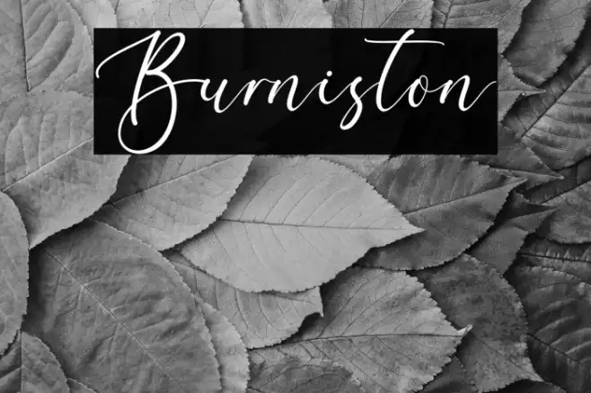 Burniston Example 3