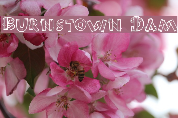 Burnstown Dam Font examples