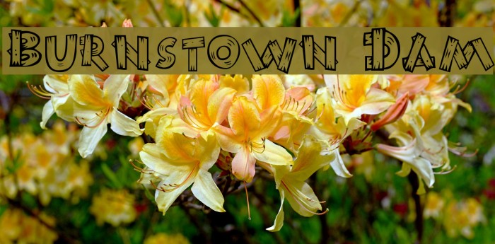 Burnstown Dam Font examples