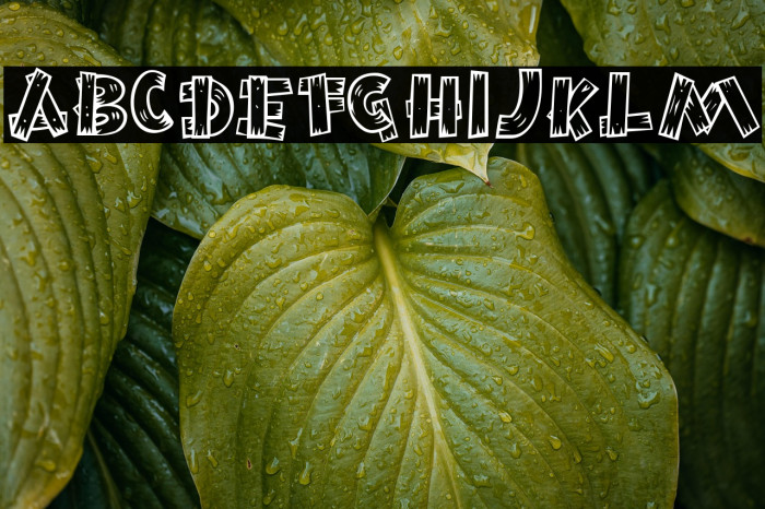 BurnstownDam-Regular Example 1