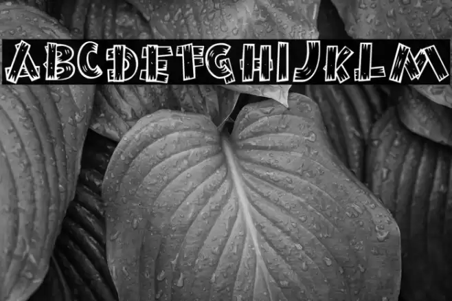 BurnstownDam-Regular Font examples